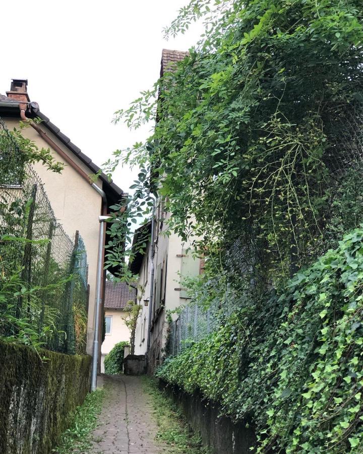 Ferienwohnung Am Gaessle Ettenheim Exterior photo
